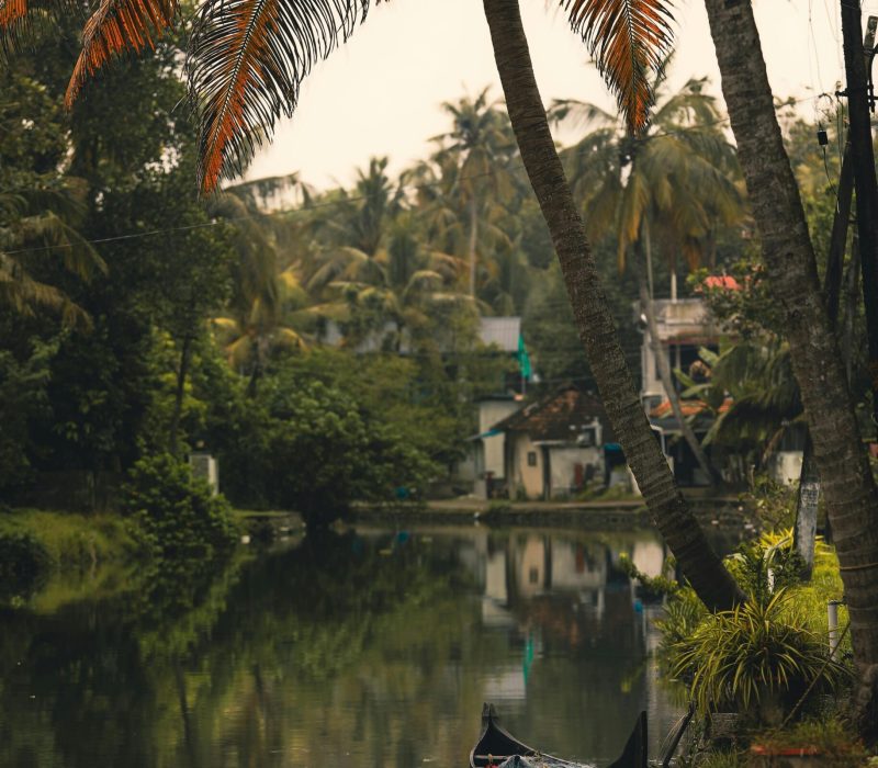 pexels-renjith-tomy-pkm-138432405-35080149